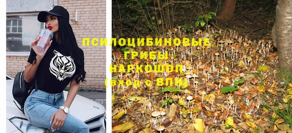 ешки Алзамай
