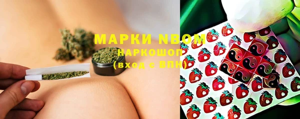 ешки Алзамай