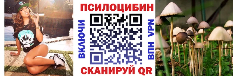 кракен как войти  Оленегорск  Псилоцибиновые грибы ЛСД 